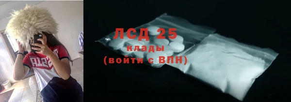 ГАЛЛЮЦИНОГЕННЫЕ ГРИБЫ Алексин