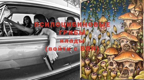 круглые Алзамай