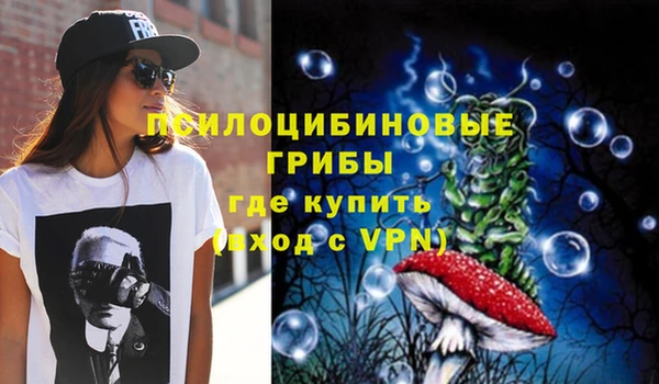 круглые Алзамай