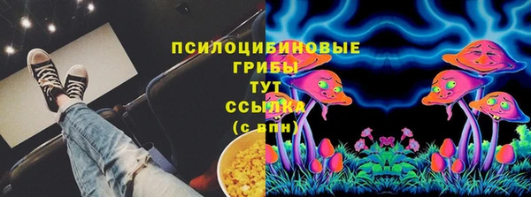 круглые Алзамай