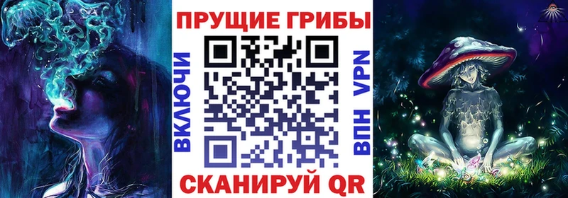 Псилоцибиновые грибы ЛСД  магазин    кракен маркетплейс  Североуральск 